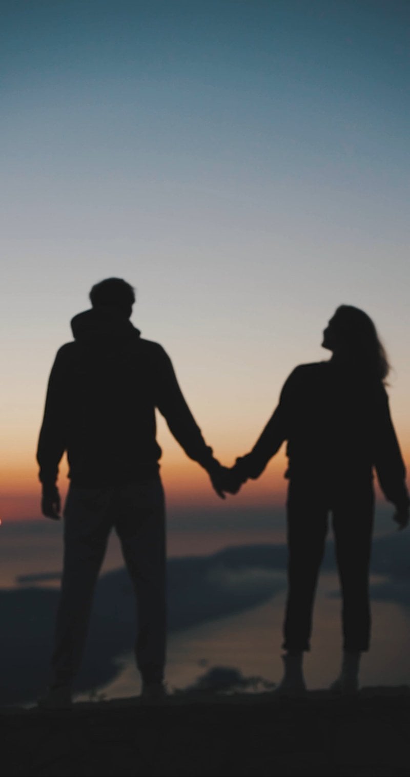 Silhouette of a Couple Standing Outdoors While Holding Each Other's Hands  Free Stock Video Footage, Royalty-Free 4K & HD Video Clip