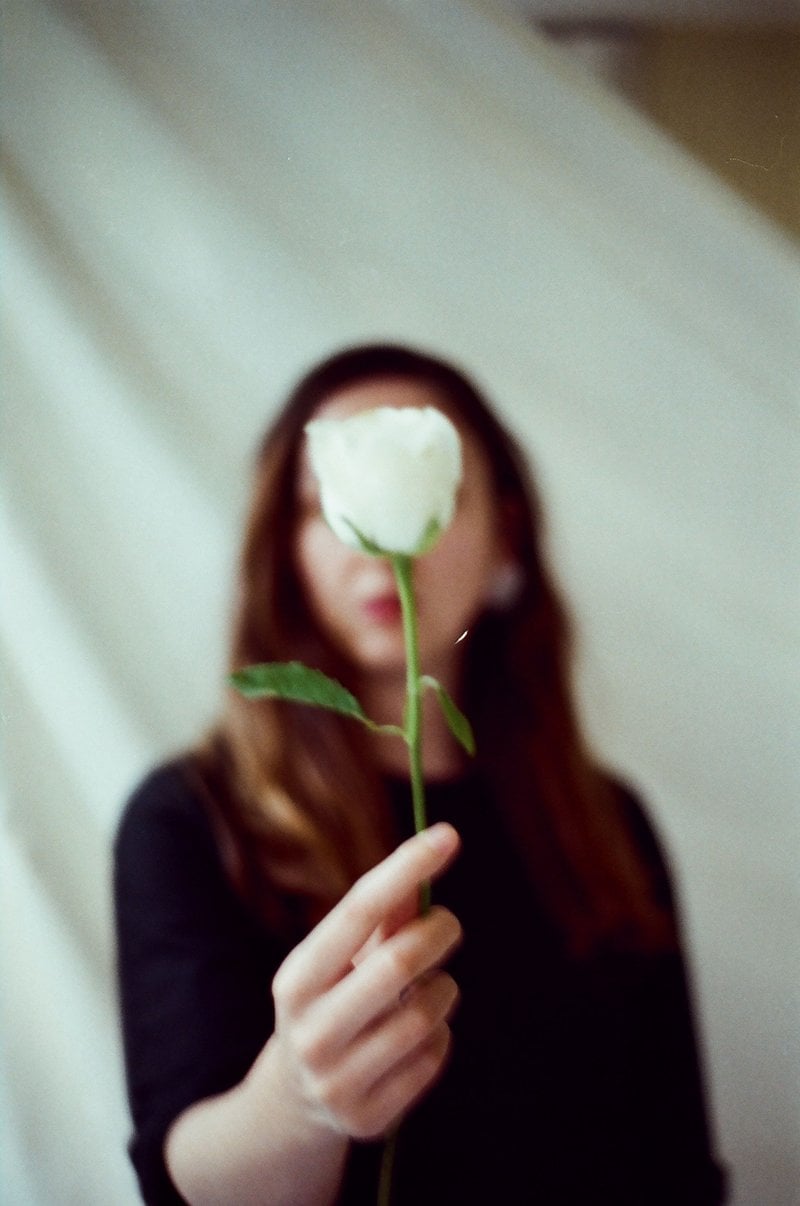 White Rose Held by a Woman &middot; Free Stock Photo