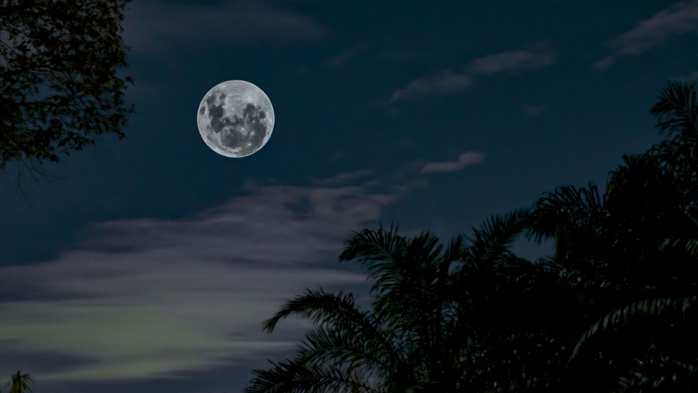 Vollmond in den Fischen im August 2026: Diese Sternzeichen k&ouml;nnen endlich loslassen